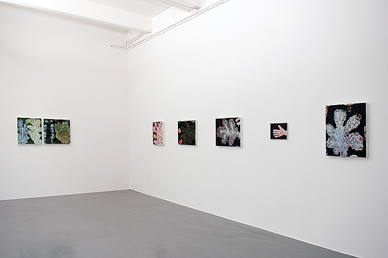 Exhibens Icones Vegetabilum   