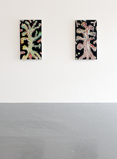 Exhibens Icones Vegetabilum    