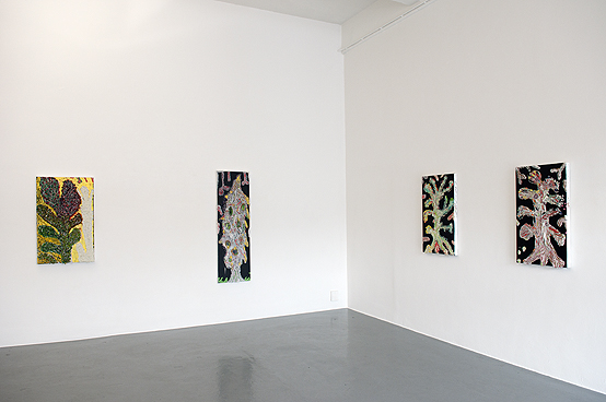 Exhibens Icones Vegetabilum    