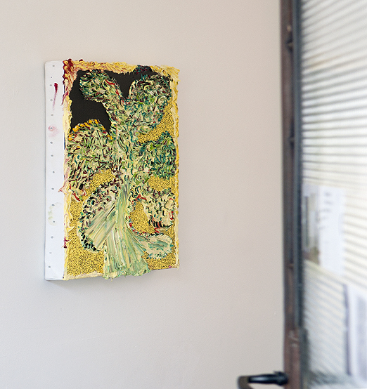 Exhibens Icones Vegetabilum   