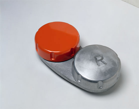 An Objet Trouvé, Enlarged, Cast and Painted