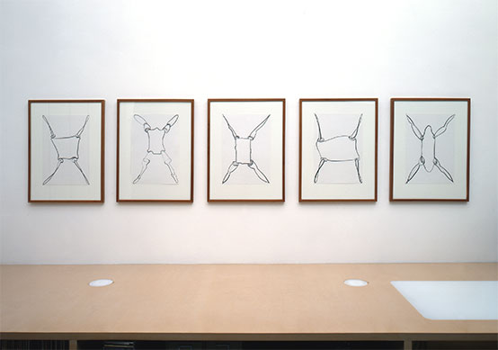 Richard Artschwager, Hans Hovy, Peer Veneman - 
Work on Paper
