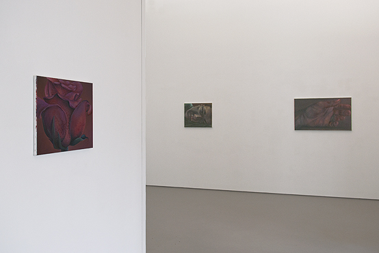 Ina van Zyl<br>LAUGHING OUT LOUD