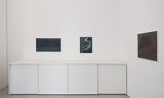 Ina van Zyl<br>In A Landscape