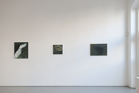 Ina van Zyl<br>In A Landscape