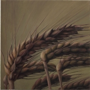 Six Bowing Corn-Stalks