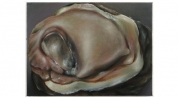 Oester II