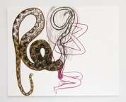 (Baba Yoga Kundalini) Transformation-Snake