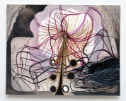 Nocturnal Flower Opening